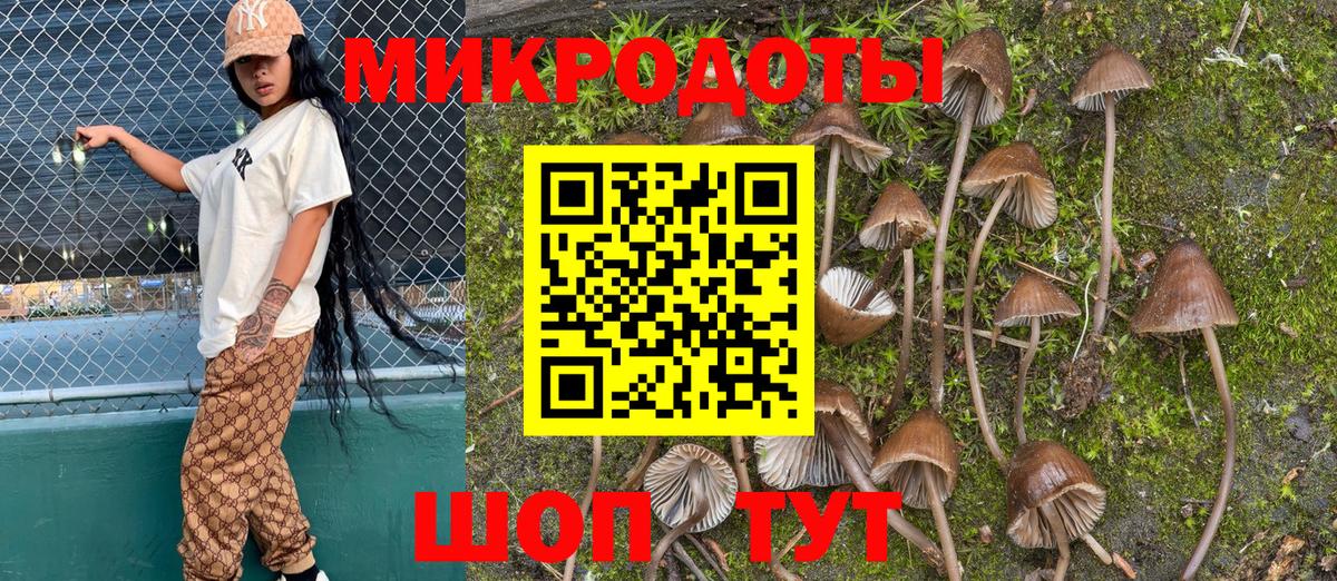 Псилоцибиновые грибы ЛСД Горячий Ключ